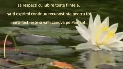 Heart Illumination - Frederic Delarue (relaxing, soothing music) 