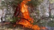 Един човек загина, а единадесет са ранени в следствие на огромните пожари в Казахстан (ВИДЕО)