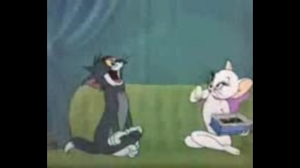 Tom & Jerry Casanova Cat 