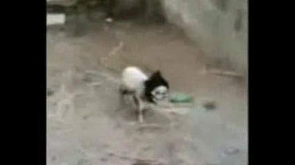 Овцата killer