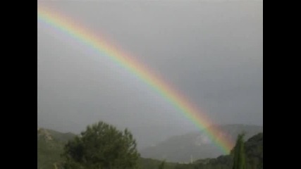 Rafelin - She s a rainbow
