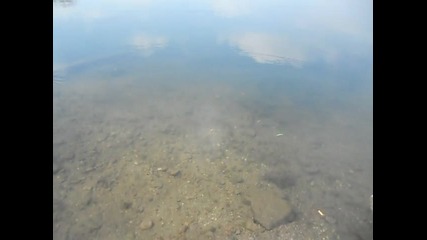 Samodelka - 2010 2 