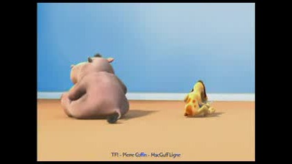 hippo fart annoys dog 