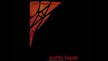 Sensitiva Immagine-e tutto comincio cosi [ full Album 1976 ] symphonic rock Italy