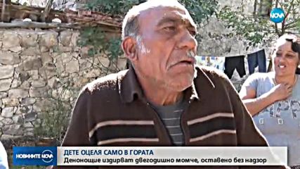 2-годишно дете оцеля само в гората цяла нощ