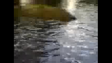 Vidin 1 bulevarda
