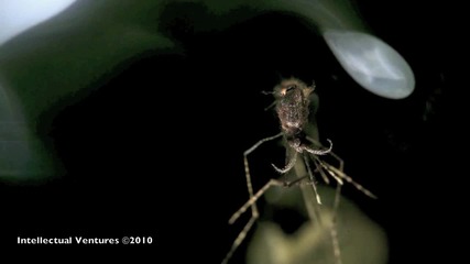 Убиване на комар с лазер 