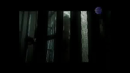 Veronika - Amore