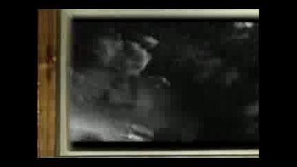 Bleubird - I Make Weird