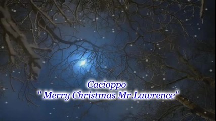 Cacioppo - Merry Christmas