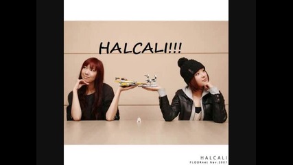 Halcali - Flash