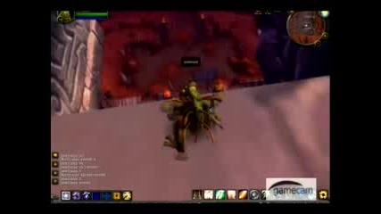 World Of Warcraft - Луди Жаби