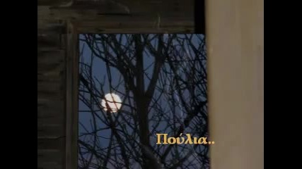Утринна Звезда Ilias Klonaridis Argentinos 