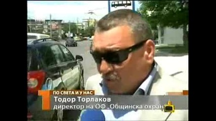 господари на ефира - паяк вдига каруца в пловдив..