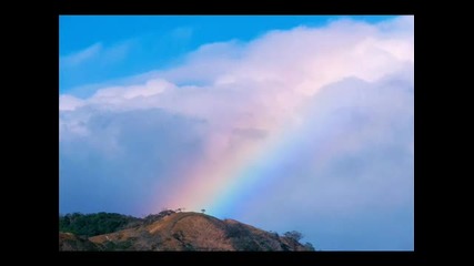 Sting - I'm lost without you