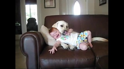Куче целува бебче!