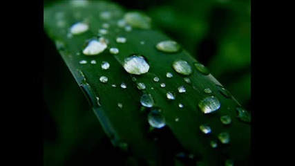 Dinka - Green Leaf Stanley Ross Mental Techno Remix