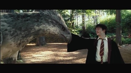 Хари Потър и Затворникът от Азкабан - Среща с Бъкбийк