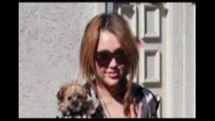 Miley for zuzn