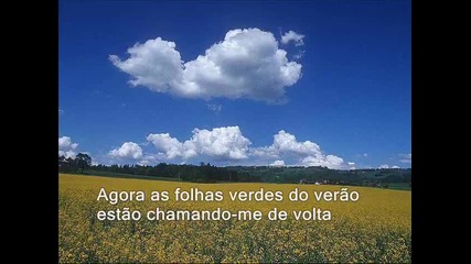 The Brothers Four - The Green Leaves Of Summer 