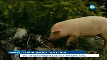 Ден на национален траур в Грузия