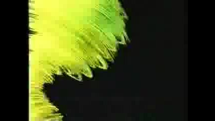 The Mask