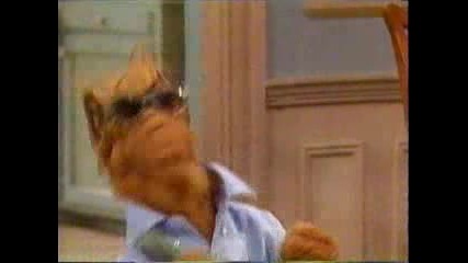 Alf