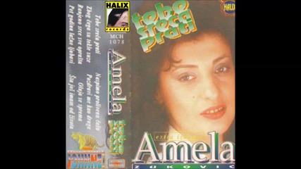 Amela Zukovic - Ranjeno srce sve oprasta - (1994 Audio)hd