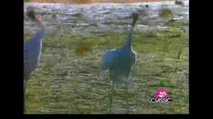 Foreigner - I Dont Want To Live Without You(2nafish)