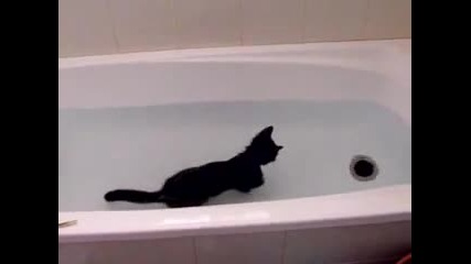 Забава !! Коте обича водата :d ... 