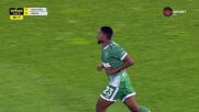 Goal by Ludogorets Razgrad PFK