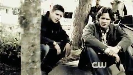 Two Brothers, One Destiny
