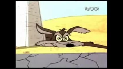 Road Runner & Wile E. Coyote - Run, Run, Sweet Road Runner 