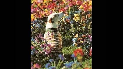 Peter Gabriel - Thatll Do (from Babe - Pig in the City) 