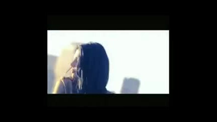 haifa wehbe-a'ref 2012