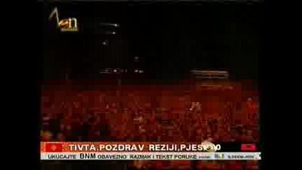 ceca raznatovic 