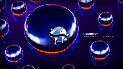 Paul van Dyk Ft. Adam Young - Eternity (camo Krooked Remix)