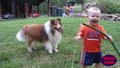 Бебета и Кучета - Смешна компилация