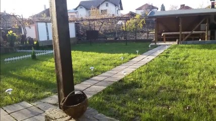 Исаева къща гр. Вършец