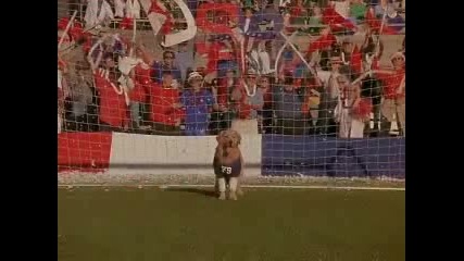 Air Bud World Pup 
