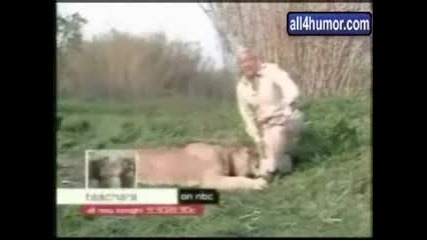 Funny Animals