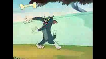 Tom Ahd Jerry
