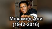 Почина великият боксьор Мохамед Али. Светът тъгува
