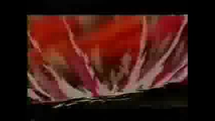 Dbz - Techno Movie
