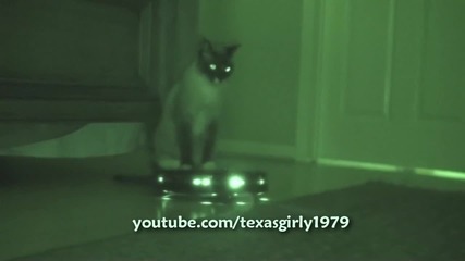 Котка на Нло. (irobot Roomba вакуум)
