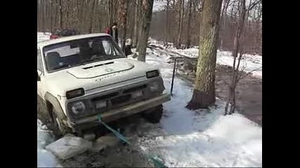 маринтепе7 