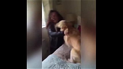 Куче вижда собственичката си за пръв път от 7 месеца!