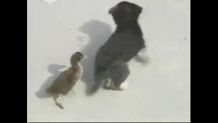 Невероятно приятелство! 