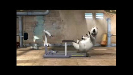 Bernard Na Fitnes
