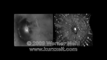 1 million fps Slow Motion video of bullet impacts made by We